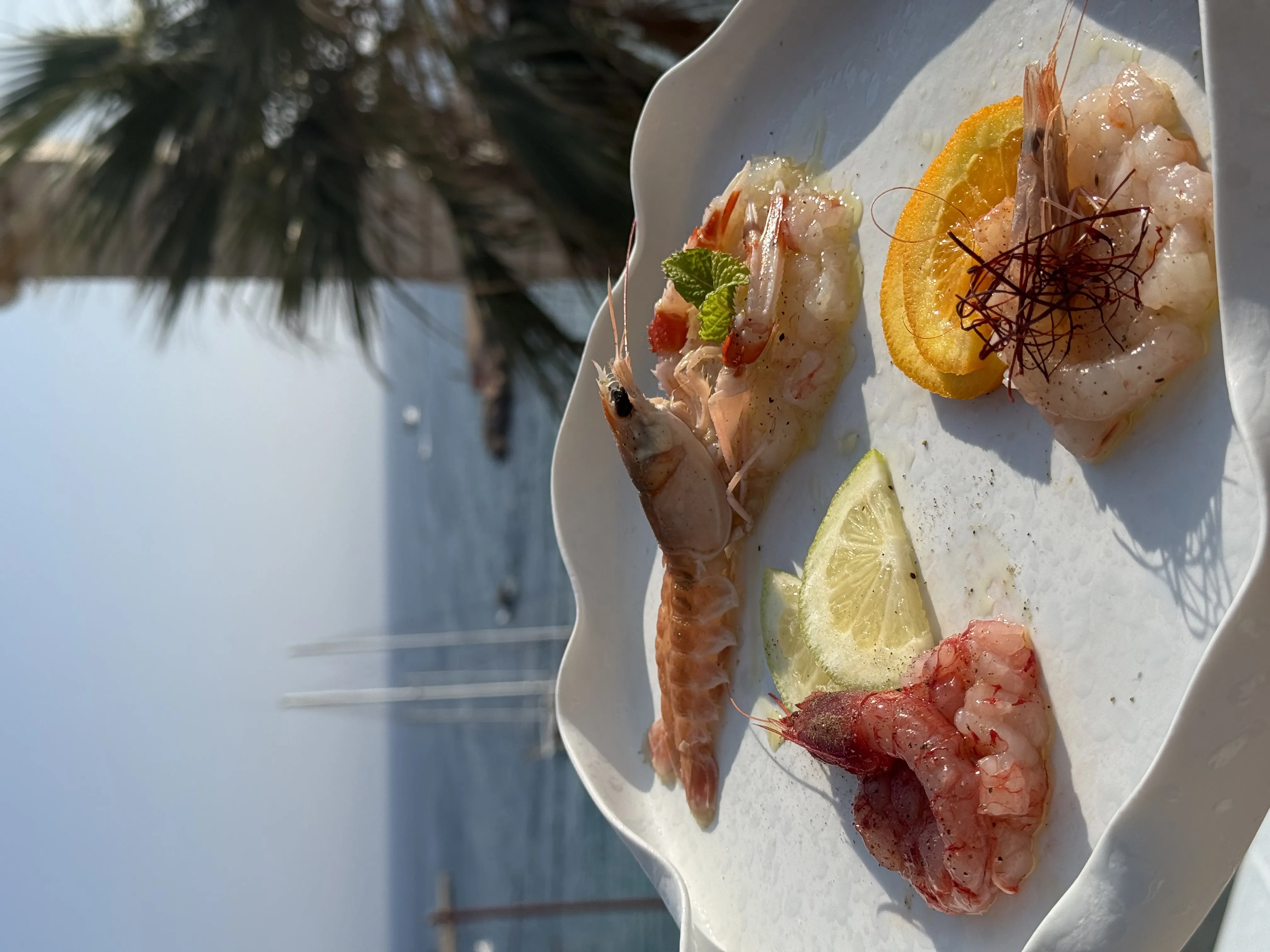 TARTARE DI CROSTACEI